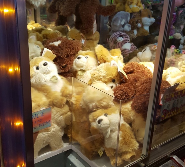 stuffed-animals-photo